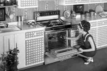 Worlds First Self Cleaning Oven